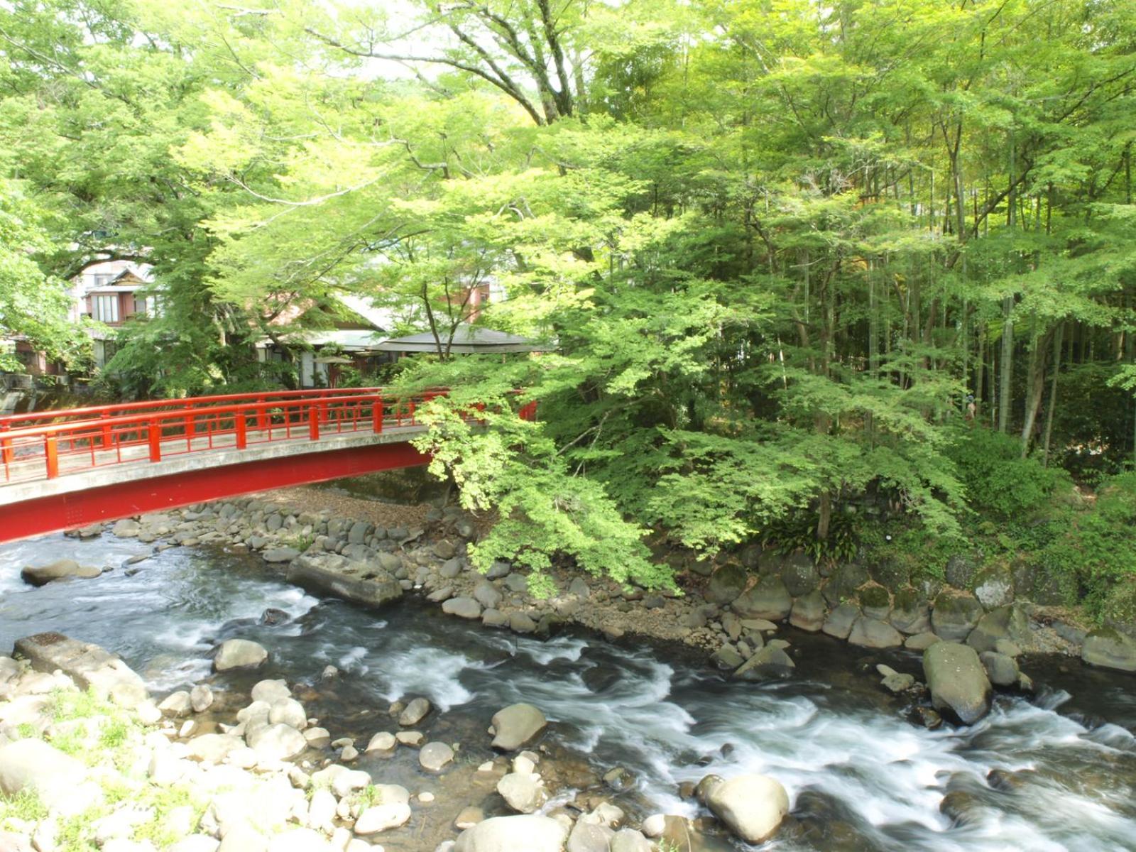 Arai Ryokan Hotel Shizuoka Exterior photo